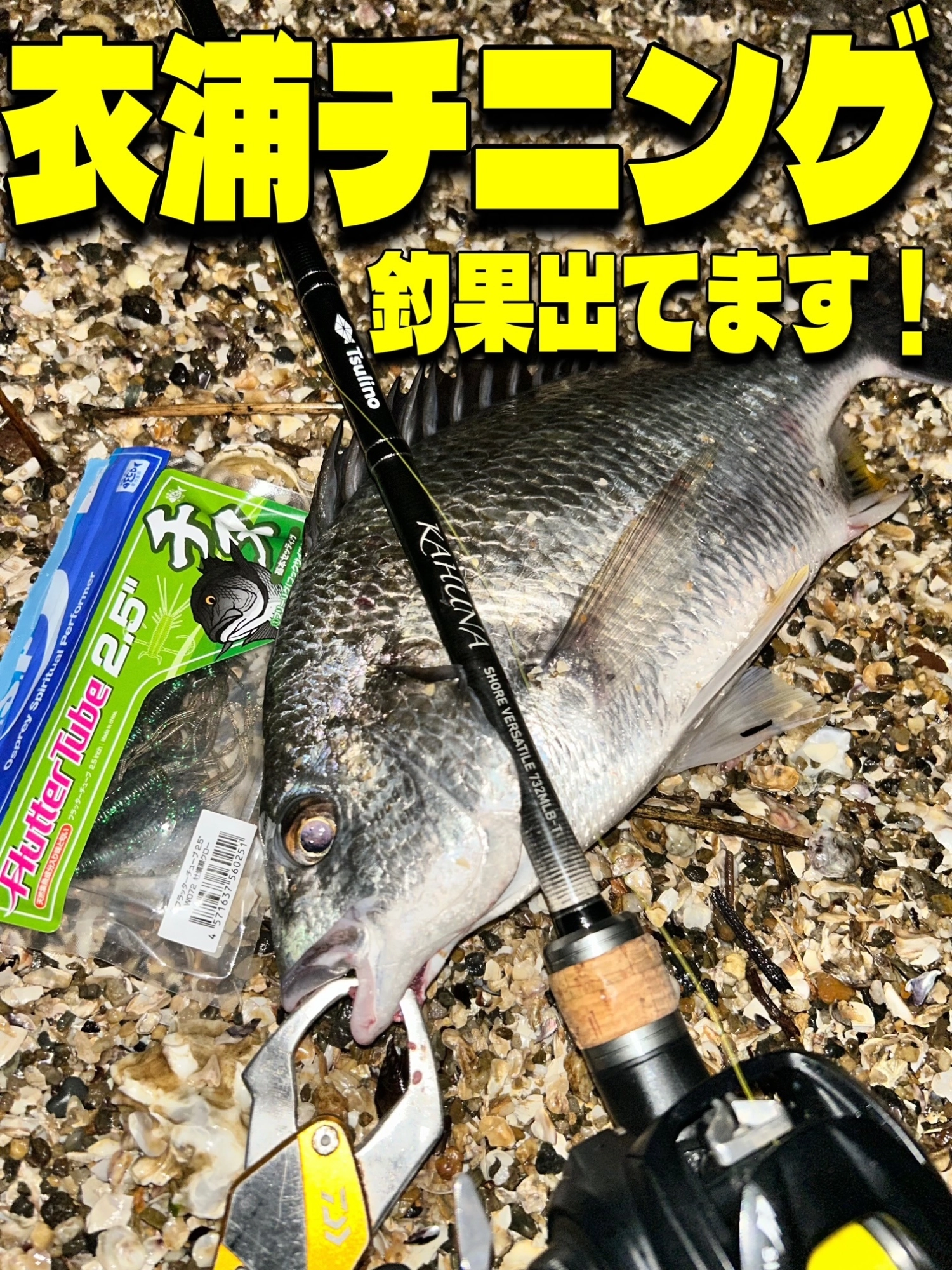 新品 ジャッカル エッグキャスト タフィー シトラスオレンジ